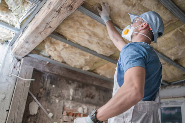 Best Specialty Insulation in Progreso, TX