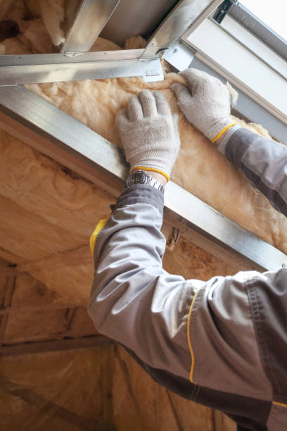 Best Types of Insulation in Progreso, TX